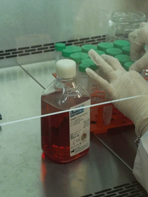 Lab technician handling precision instruments in a controlled environment, illustrating the discipline required for temperature data logger calibration programs