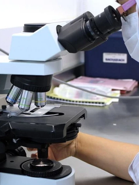 Lab technician verifying microscope calibration frequency while examining a sample slide